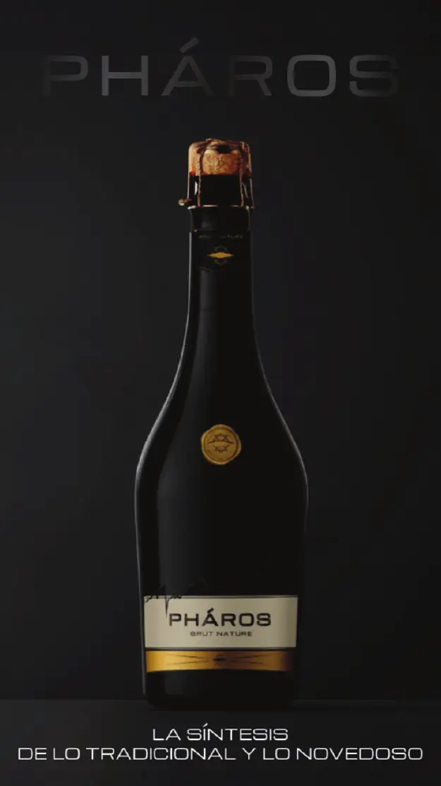 Portfolio Crowdfarming.wine, página 39