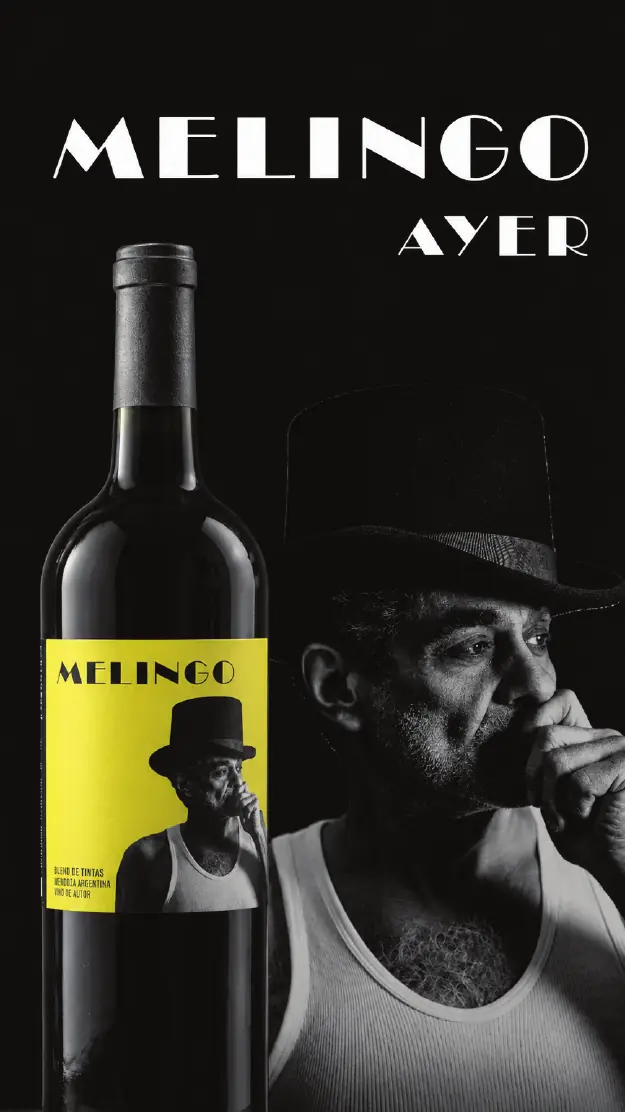 Portfolio Crowdfarming.wine, página 40