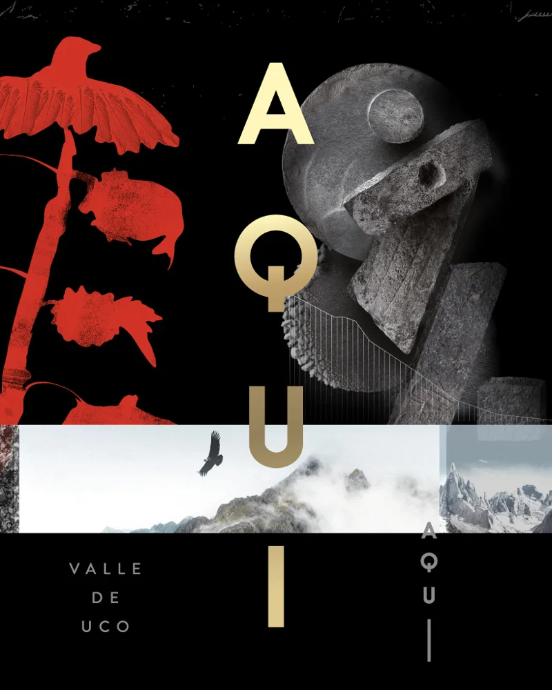 Aquí Wines